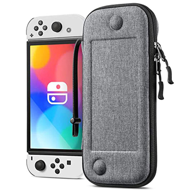 Nintendo case